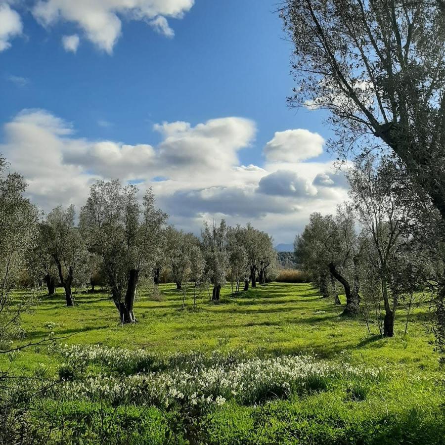 Hotel Tenuta Le Tre Querce Seminara Esterno foto